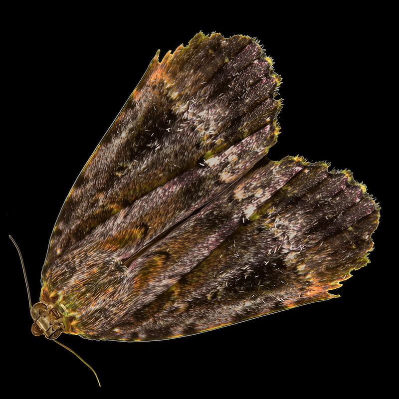 This is the cover artwork of Herbert Bartmann's two-track single Ex Tempore III.